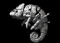  skelbimai